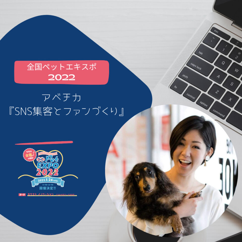 セミナー動画販売『SNS集客とファンづくり』アベチカ
